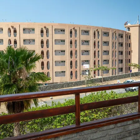 Gacelas,playa Maspalomas (Gran Canaria)